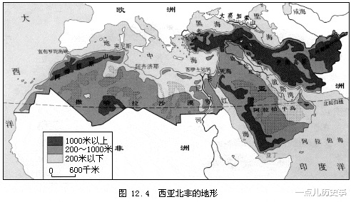 埃及为什么不是黑人国家，埃及为何不是黑人