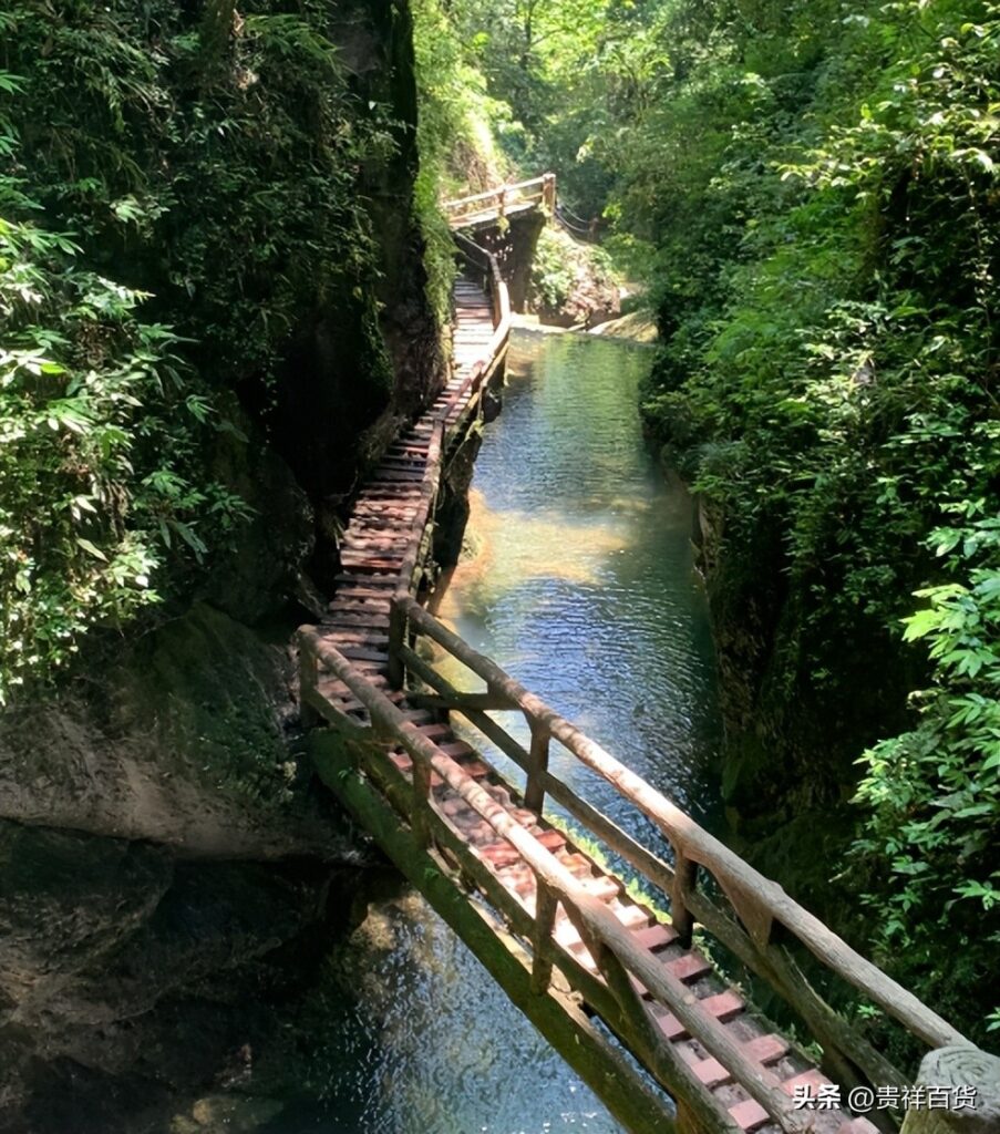 青城山为什么不能去，青城山为什么很邪门