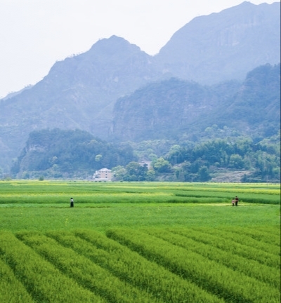 一亩地是几米，土地亩数怎样计算