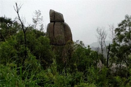 坟地怎么选址对风水好，坟地选址有哪些风水禁忌