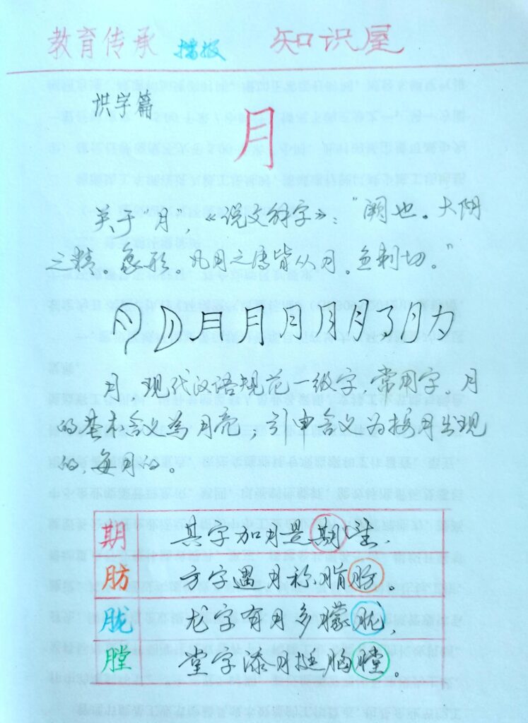 带月的字有哪些，带月字的组词和成语