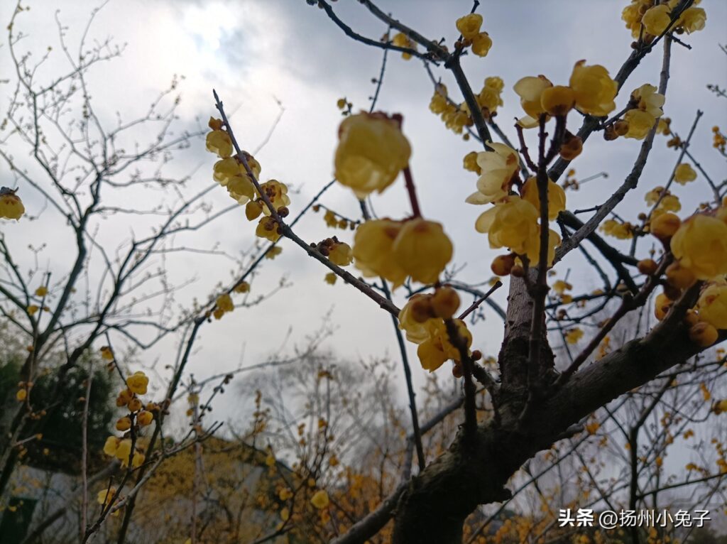 同是天涯沦落人什么意思，什么是同是天涯沦落人