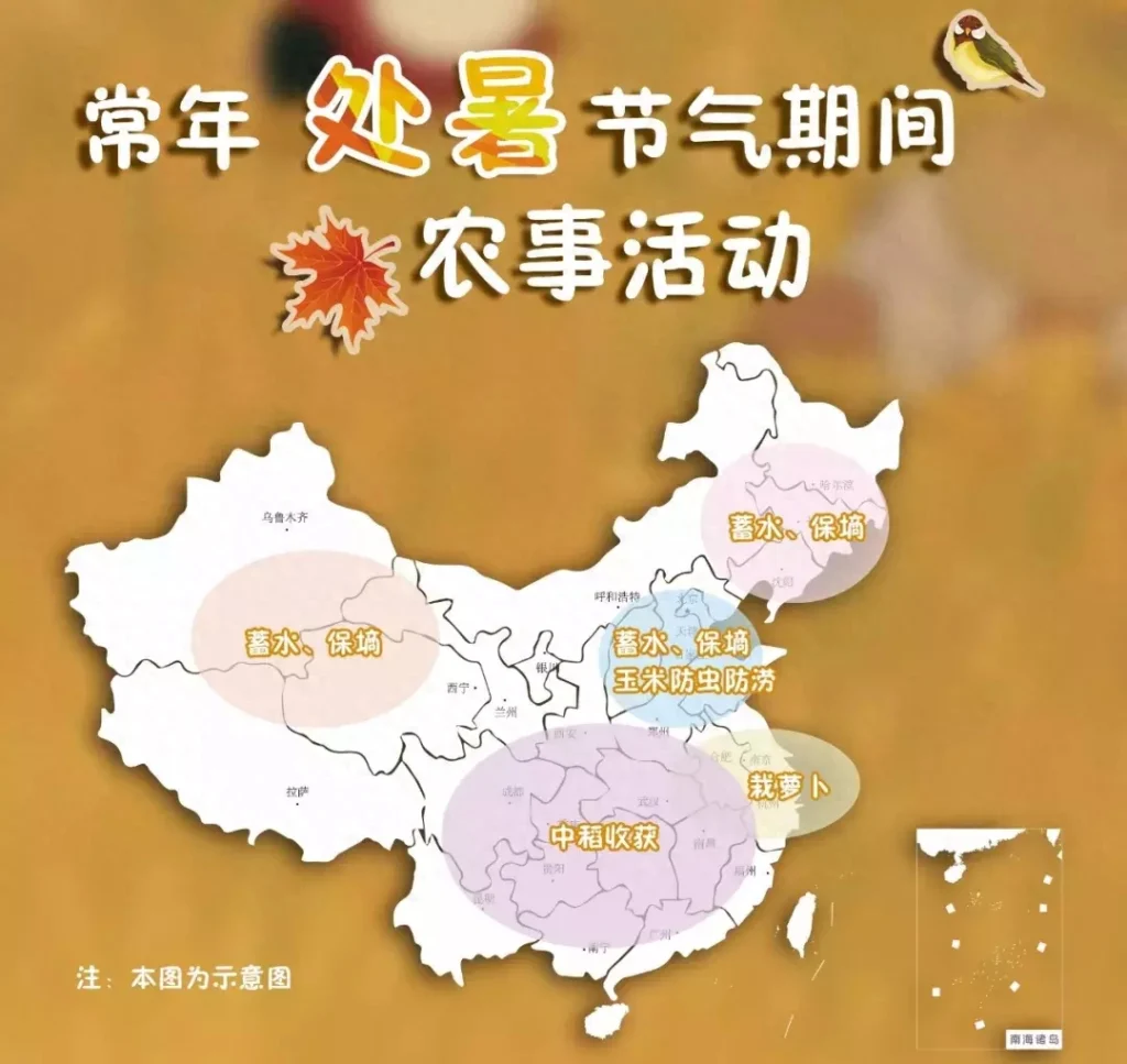 秋高气爽的天气奥秘是什么，处暑的简历