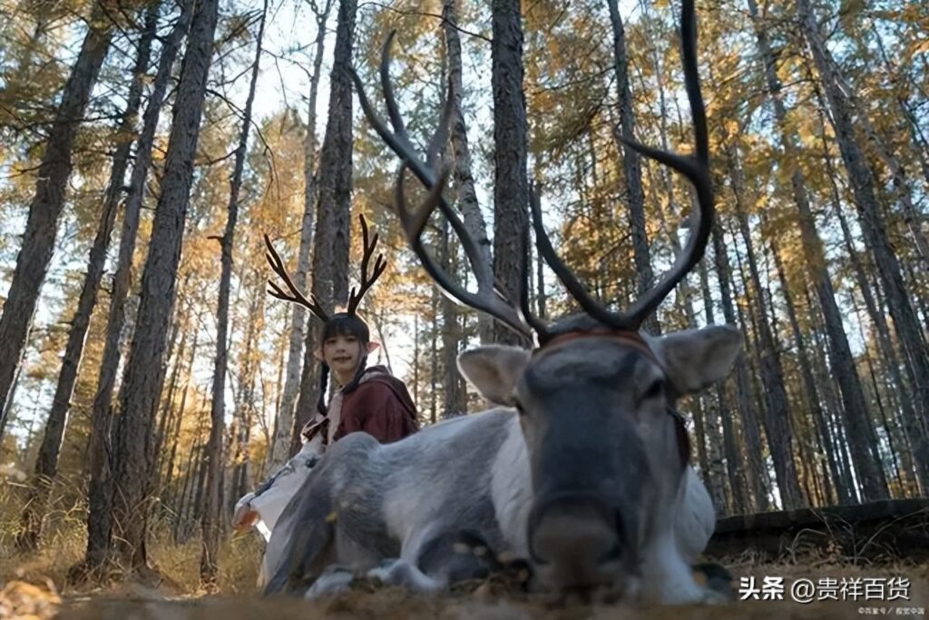 根河市的文化习俗，在“中国冷极”根河能干什么