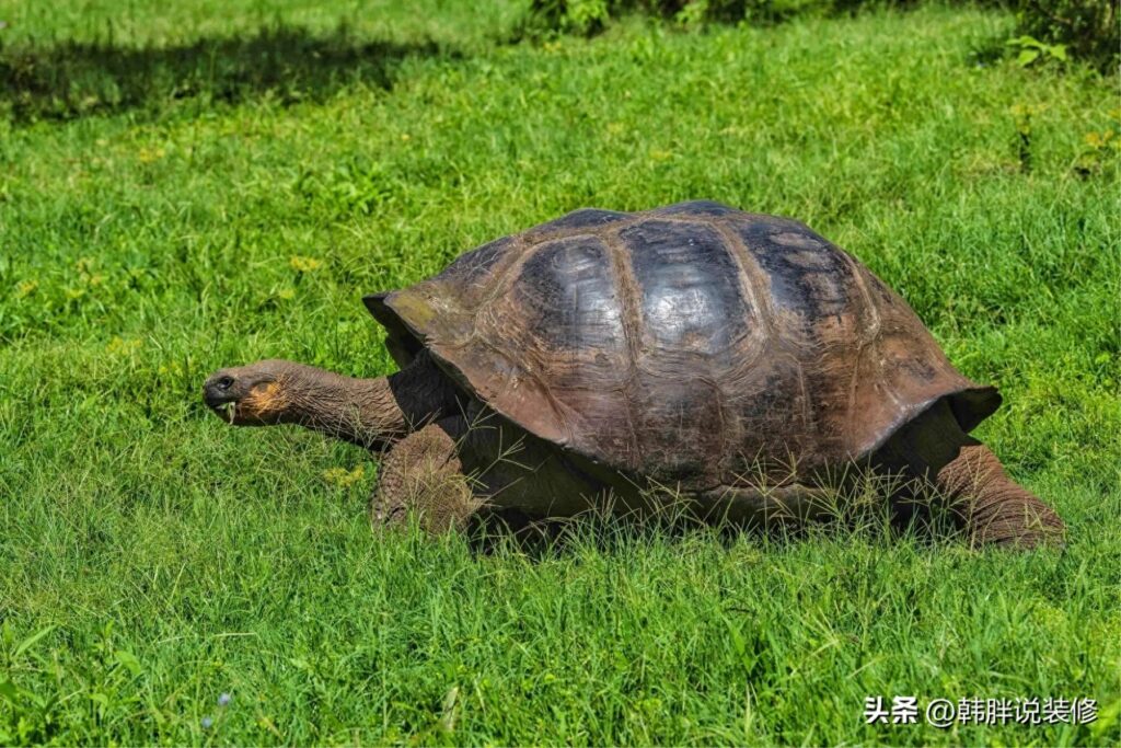 一屋不住三辈人是什么意思，一屋不住三辈人的理解