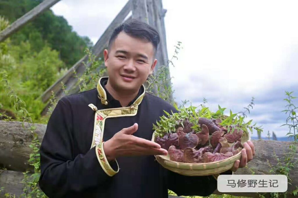 灵芝怎么配效果最好，灵芝最简单的吃法