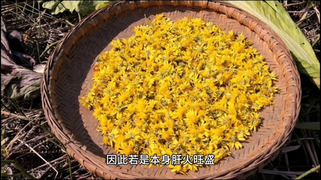 什么人不能吃桂花，这三种人不能吃桂花