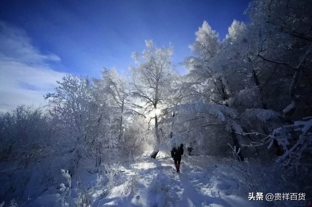 中国最冷的地方是哪，中国最冷的地方根河市