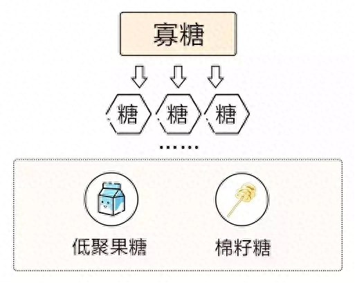 什么是碳水化合物，碳水化合物的分类