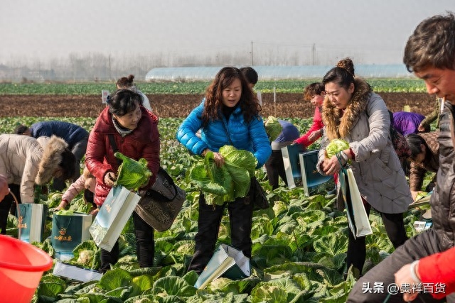 四五线城市适合做什么生意，适合在这些城市创业的生意