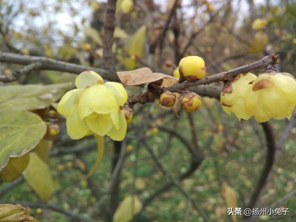 同是天涯沦落人什么意思，什么是同是天涯沦落人