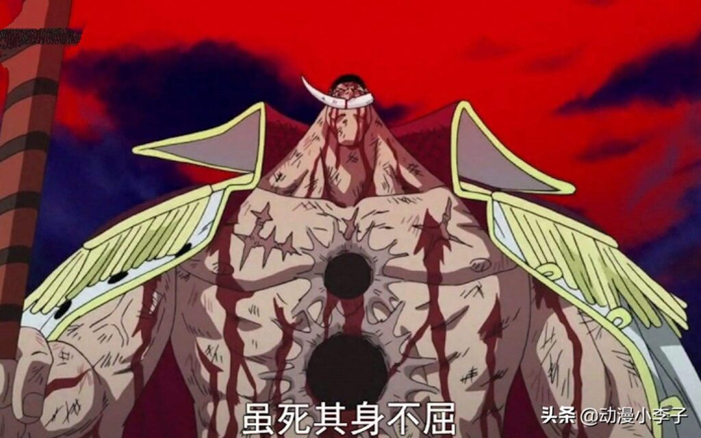 海贼王的宝藏是什么，one piece是什么意思