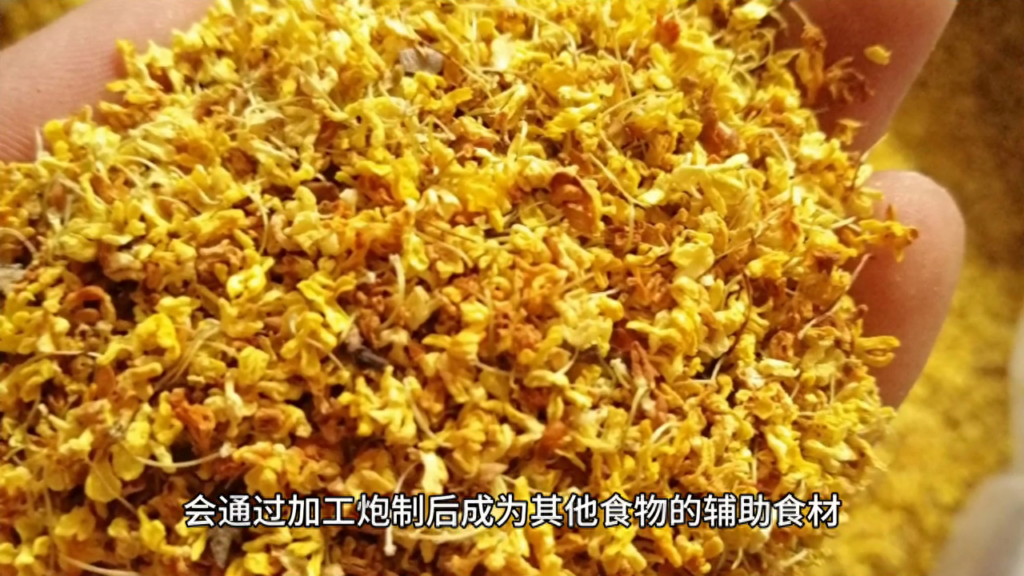 什么人不能吃桂花，这三种人不能吃桂花