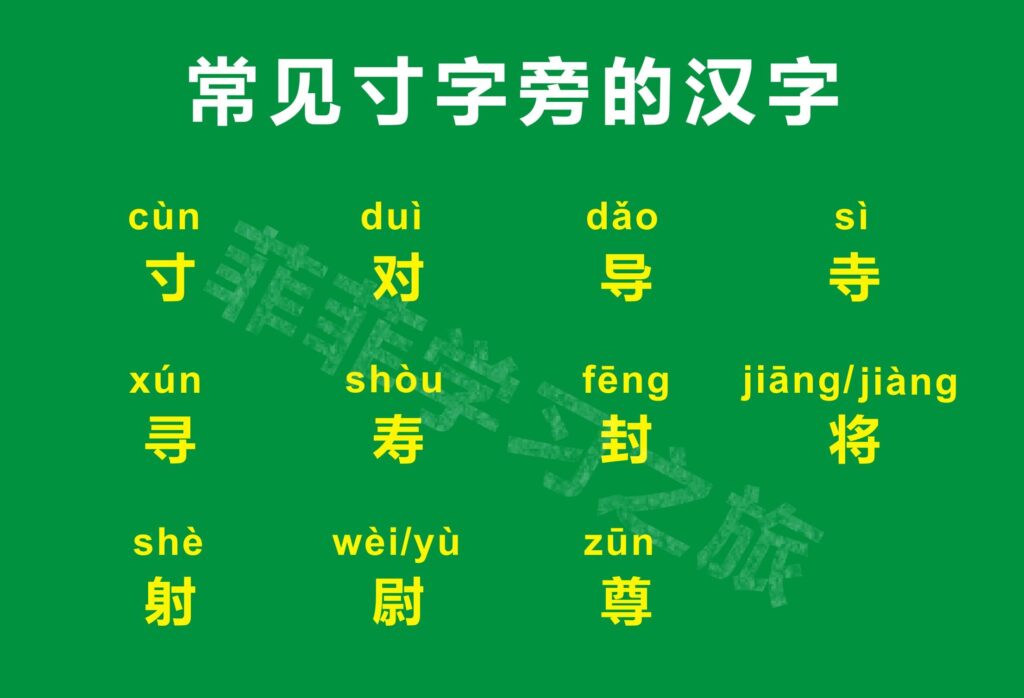 寸字旁汉字有哪些，寸字旁的汉字