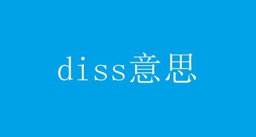 diss什么意思，diss的意思