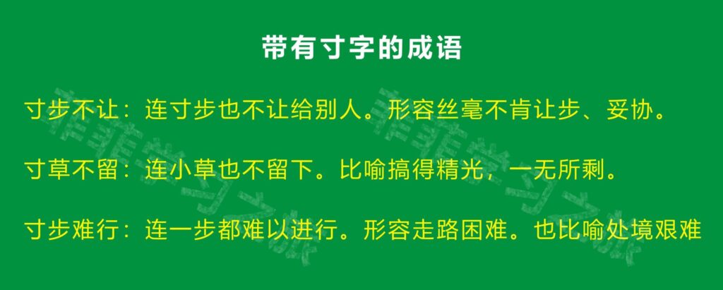 寸字旁汉字有哪些，寸字旁的汉字