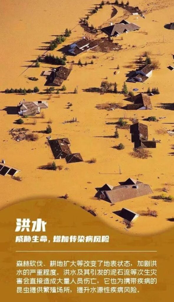 珍爱地球我们需要怎么做，威胁人类生存的环境问题有哪些