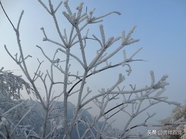 湖南第一场雪什么时候下，湖南今年冬天有雪吗