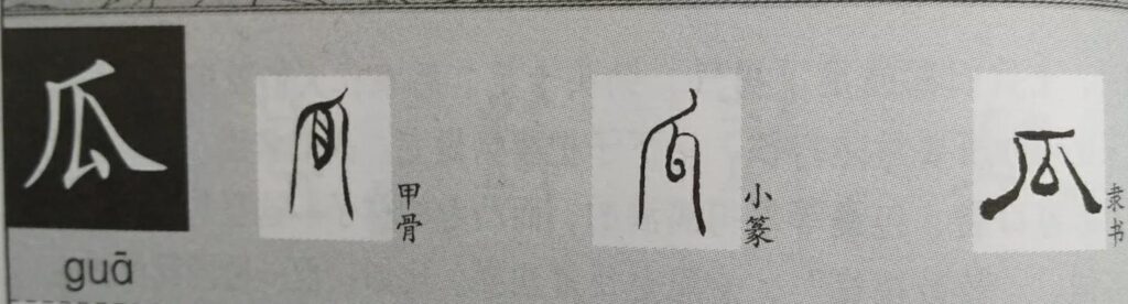 瓜字的象形字怎么写？瓜字的演变过程是什么？