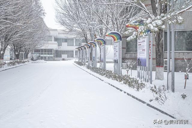 气候变暖为何今年寒潮更多，寒潮产生的原因是什么