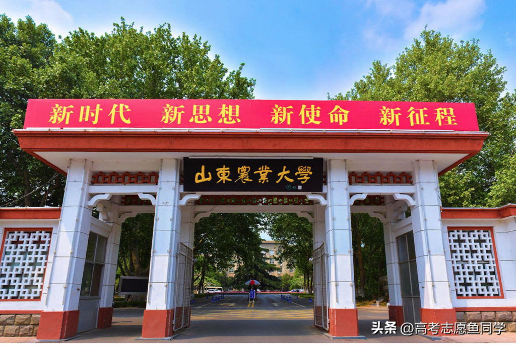 山东哪些大学属于一本学校，山东哪几所大学是一本