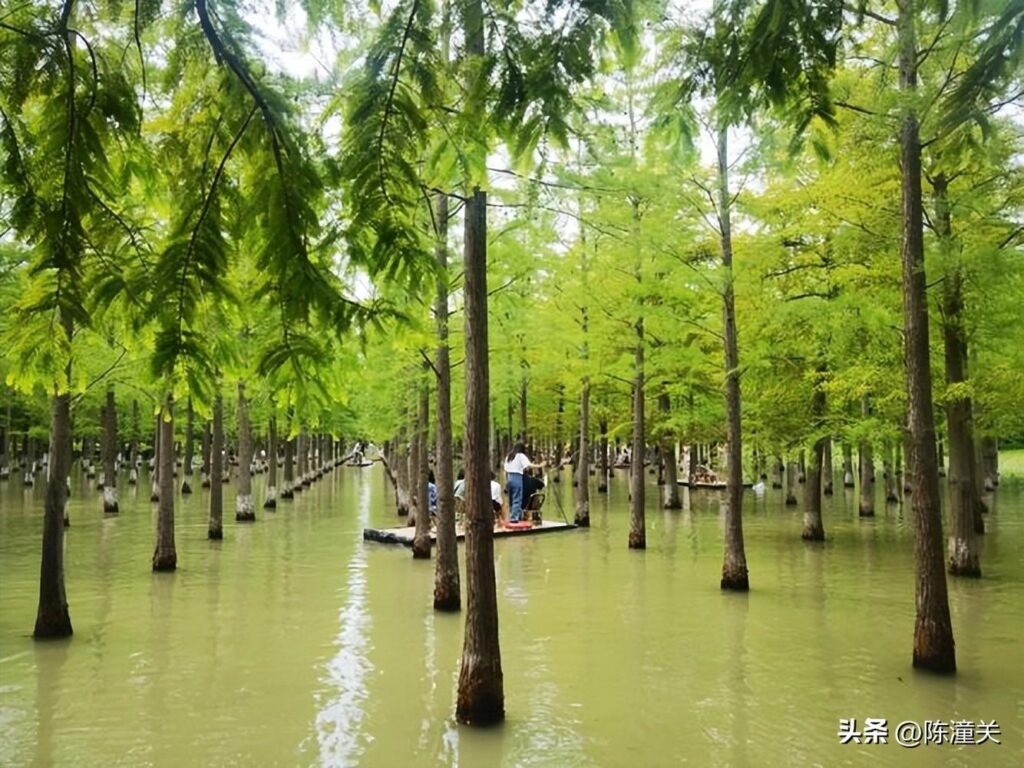 江苏的5A级景区有多少个，分别位于哪些城市