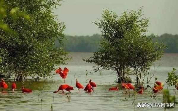 委内瑞拉有什么好玩的地方，委内瑞拉著名景点