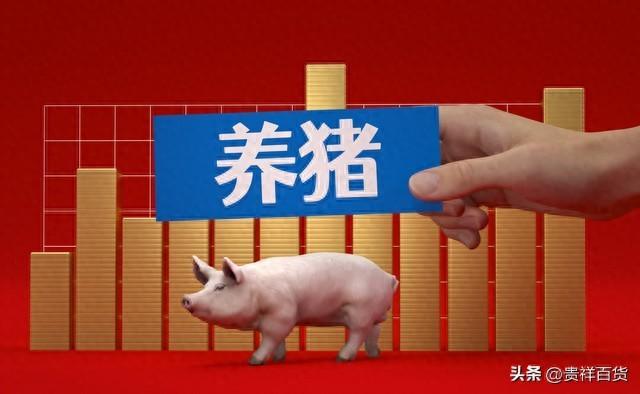 12月中旬大猪会涨价吗，猪肉12月份是涨是跌