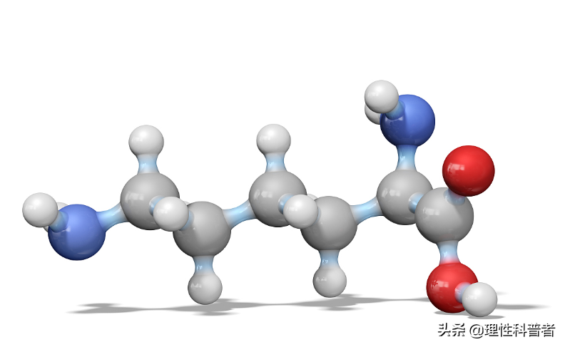 什么是生物工程？生物工程是干什么工作的？