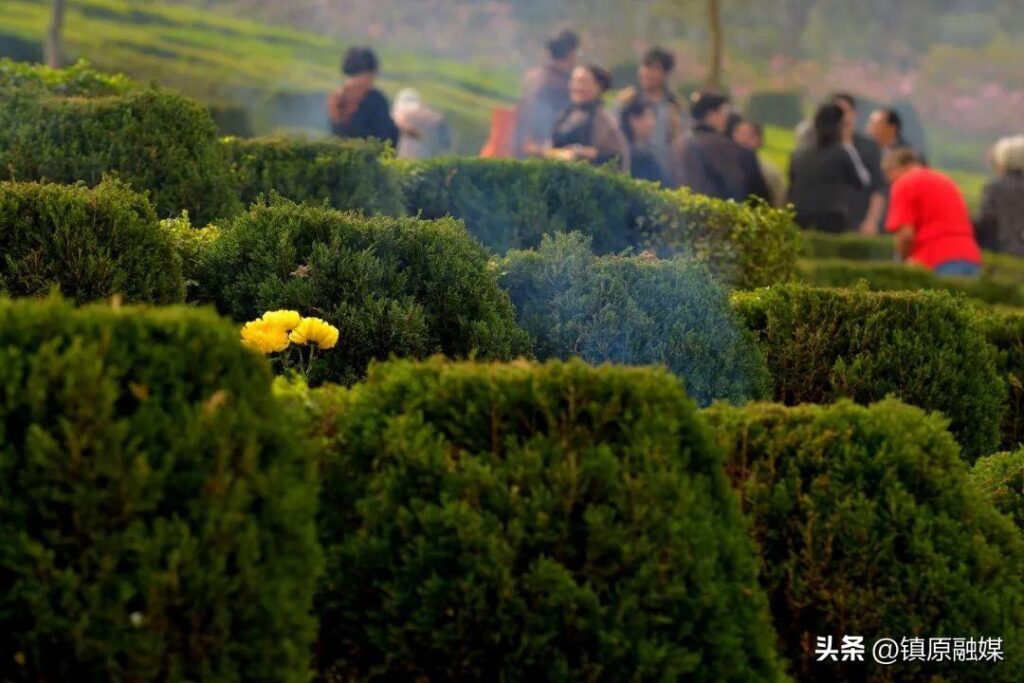 寒食节有什么讲究?寒食节的风俗是什么？