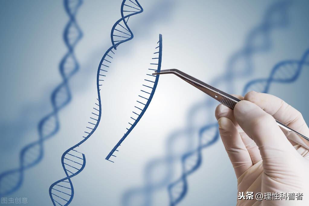 什么是生物工程？生物工程是干什么工作的？