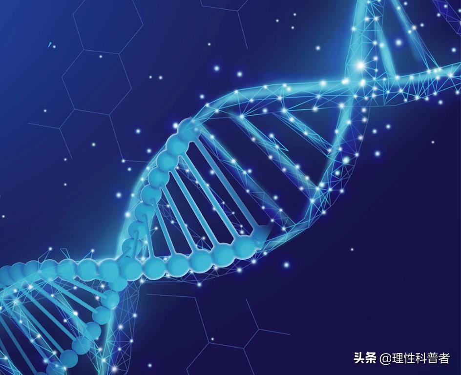 什么是生物工程？生物工程是干什么工作的？