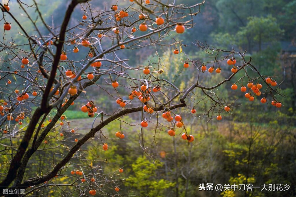 初次见面说哪些敬辞和谦辞?初次见面说什么敬辞与谦辞?