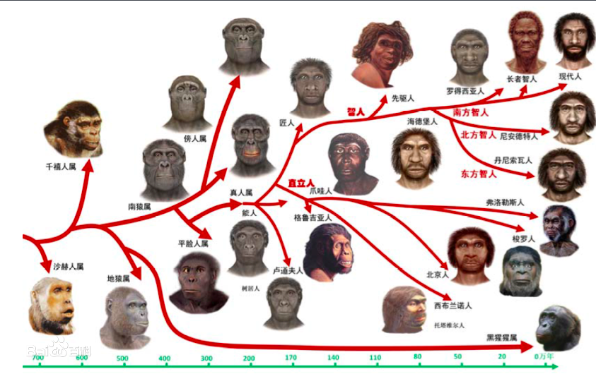 人类是如何繁衍？人类是怎么繁衍至今的？