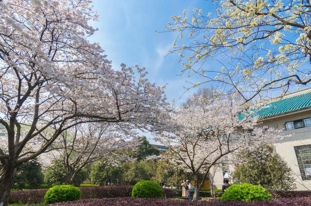 211大学都有哪些大学？211大学都有哪些学校？