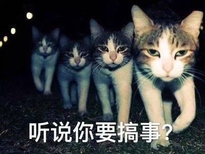 扑克牌怎么玩能赢？德州扑克秘诀