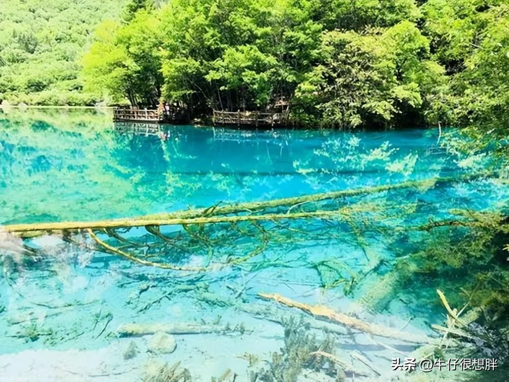 九寨沟旅游一般要多少钱?九寨沟旅游门票要多少钱?