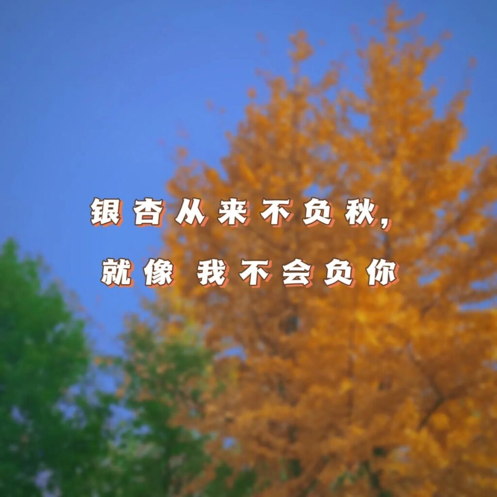 不同朵数的玫瑰花代表什么意思？玫瑰花有哪些送法？