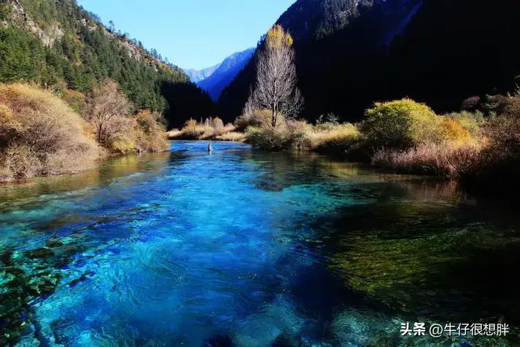 九寨沟旅游一般要多少钱?九寨沟旅游门票要多少钱?