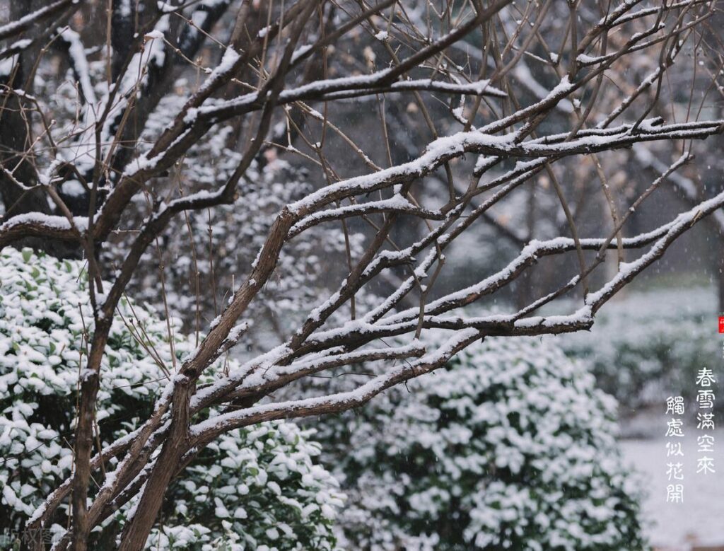 4月飞雪是什么原因导致的？四月下雪代表什么？