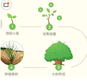 蚂蚁森林怎么获取能量保护罩？蚂蚁森林获取能量有什么用？