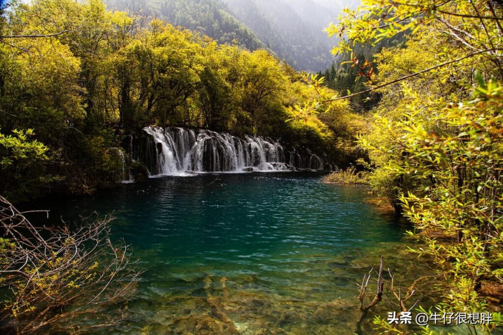 九寨沟旅游一般要多少钱?九寨沟旅游门票要多少钱?