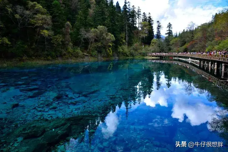 九寨沟旅游一般要多少钱?九寨沟旅游门票要多少钱?