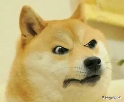 doge什么意思？什么是doge？