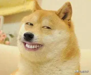 doge什么意思？什么是doge？