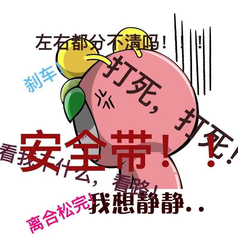 学车哪个驾校比较好点？学车哪个驾校比较好？