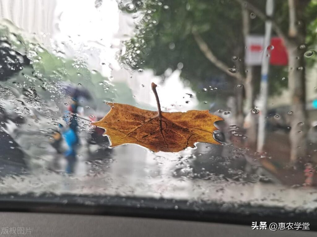 梅雨季节从什么时候开始？什么时候结束?