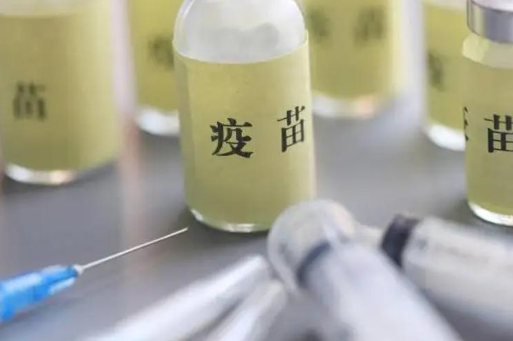 北京生物与科兴是一个厂家吗？北京生物和科兴是一家公司吗？