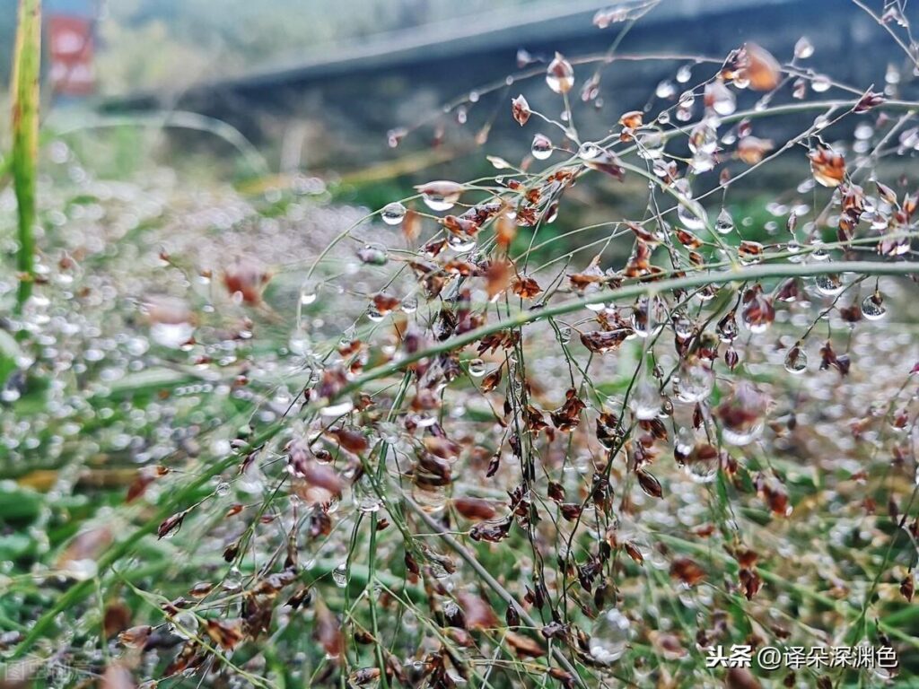 什么样的人喜欢雨天?什么人最喜欢雨天?