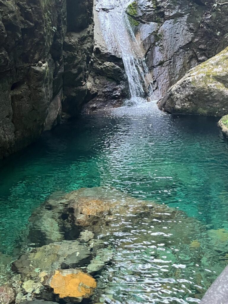 武义牛头山门票多少？武义牛头山景区介绍